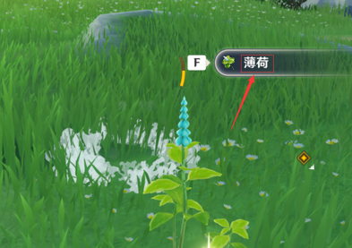 image-20230811104459258